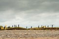 Surf school training on the Strandhill beach in Sligo