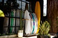 Surf shop. Many multi-colored surfboards in a row Royalty Free Stock Photo