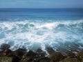 Surf on shores of Indian ocean and overgrown with algae stones