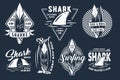 Surf surfing boards, waves and shark emblems