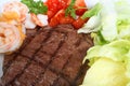 Surf and turf meal Royalty Free Stock Photo