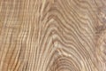 Surface of ashwood board Royalty Free Stock Photo