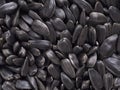 The surface of black sunflower seeds. Illustration or dark black background or wallpaper. Winter food for wild birds. View from Royalty Free Stock Photo