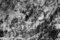 Surface of black and white granite stone. Marble texture. Abstract pattern on black and white background. Black texture dark slate Royalty Free Stock Photo