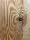 Surface of a board with a cut knot. Wood texture. Top view, copy space. Wood background