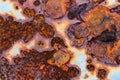 The surface of the broken metal rusts. Royalty Free Stock Photo