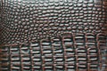 surface of brown crocodile leather bag.