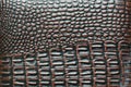 surface of brown crocodile leather bag. Royalty Free Stock Photo