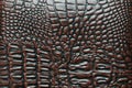 surface of brown crocodile leather bag. Royalty Free Stock Photo