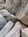 Surface of the cave rock wall. gray stone texture background Royalty Free Stock Photo