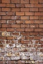 Surface covered with clay bricks with traces of salt oozing in the lower part. Royalty Free Stock Photo