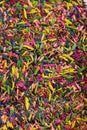 Surface covered with colorful pencil's graphite chips Royalty Free Stock Photo