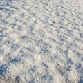 A surface covered in numerous small white pellets, resembling a thick layer of snow Royalty Free Stock Photo