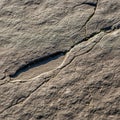 Surface with cracks and a detailed texture showcasing erosion Royalty Free Stock Photo