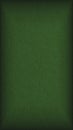 The surface of dark green cardboard. Paper texture with cellulose fibers. Paperboard mobile phone wallpaper with vignetting. Royalty Free Stock Photo