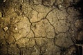 The surface of the dried earth, covered with cracks.