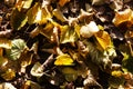 The surface of the earth, covered with yellow linden leaves in the autumn after leaf fall Royalty Free Stock Photo