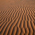 The surface is evenly covered with these undulating formations Royalty Free Stock Photo