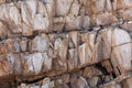 The surface of fine grained Precambrian schist Royalty Free Stock Photo