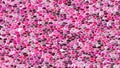Surface floor marble mosaic seamless background with white grout - hot pink, magenta, purple, violet, fuchsia, mauve and