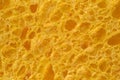 The surface of the foam sponge for washing dishes. Porous structure. Cleaning and hygiene. Close-up. Macro. Abstract