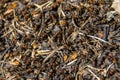 the surface of a forest anthill on which many worker ants run Royalty Free Stock Photo