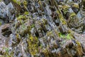 The surface of the forest rocks.