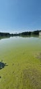 surface of freshwater reservoir with algal bloom