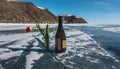 On the surface of the frozen lake is an open bottle of champagne and a wine glass. Royalty Free Stock Photo