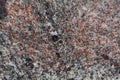 Surface of a gneiss rock Royalty Free Stock Photo