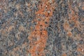 Surface of a gneiss rock Royalty Free Stock Photo