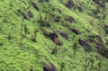 Surface of the grass ground and rocks on the mountain in Fang district, Chiang Mai, Thailand Royalty Free Stock Photo