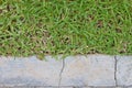 Surface grass and stone ground