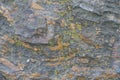 Surface of gray and orange stone with lichen Royalty Free Stock Photo