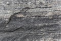 Green schists of Paleozoic age from the Alps