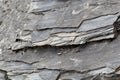 Green schists of Paleozoic age from the Alps