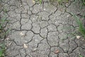 Surface of a grunge dry cracking parched earth for textural background Royalty Free Stock Photo