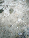 Surface of a grungy dry cracking parched earth Royalty Free Stock Photo