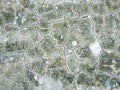 Surface of a grungy dry cracking parched earth Royalty Free Stock Photo