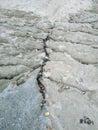Surface of a grungy dry cracking parched earth Royalty Free Stock Photo