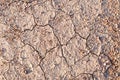 Surface of a grungy dry cracking parched earth for textural back Royalty Free Stock Photo