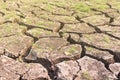 Surface of a grungy dry cracking parched Royalty Free Stock Photo