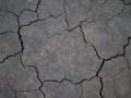 Surface of a grungy dry cracking parched earth for textural background Royalty Free Stock Photo