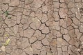 Surface of a grungy dry cracking parched earth Royalty Free Stock Photo