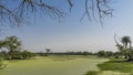 The surface of the lake is completely covered with green duckweed. Royalty Free Stock Photo