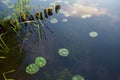 Surface of a lake seen from above