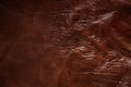 Surface of leather. Royalty Free Stock Photo