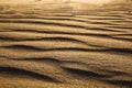 Surface level shot of the desert and the wind pattern on the sand