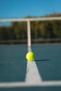 Surface level view of green ball on white line at empty court during sunny day Royalty Free Stock Photo