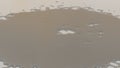Surface of a liquid with translucent patches forming natural shapes on a neutral background, illustrating fluid dynamics and